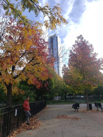 Murray Playground Dog Run - Long Island City, NY