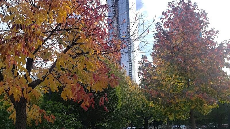 Murray Playground Dog Run - Long Island City, NY