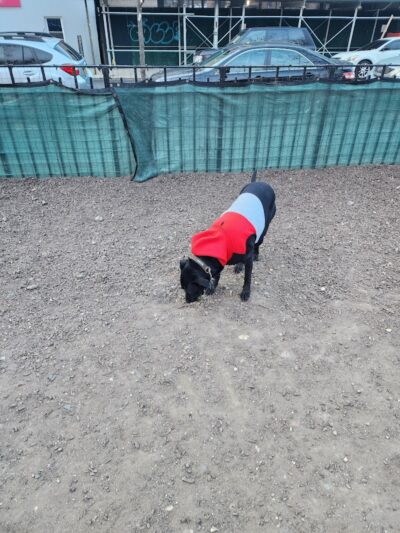 Murray Playground Dog Run - Long Island City, NY