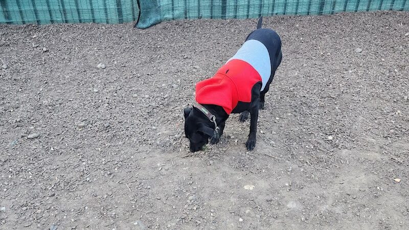 Murray Playground Dog Run - Long Island City, NY