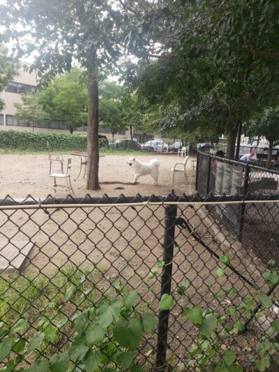 Murray Playground Dog Run - Long Island City, NY