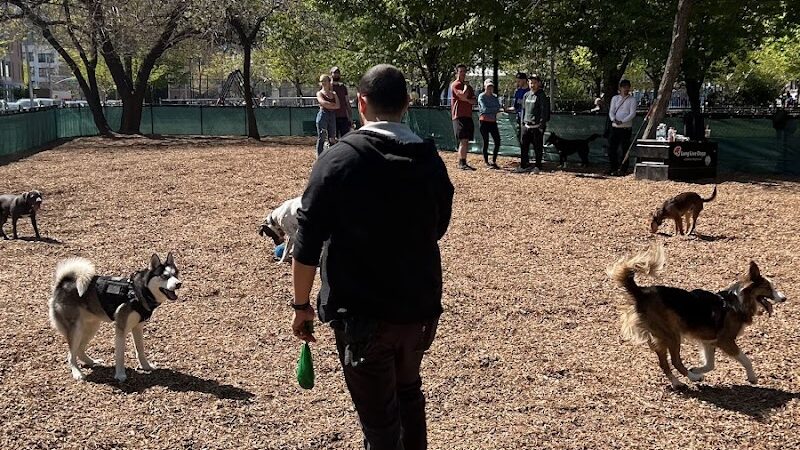 Murray Playground Dog Run - Long Island City, NY