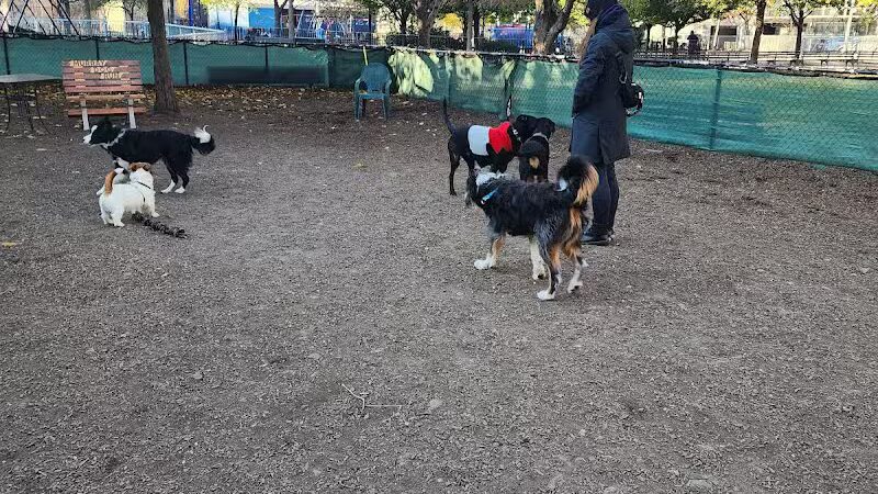 Murray Playground Dog Run - Long Island City, NY