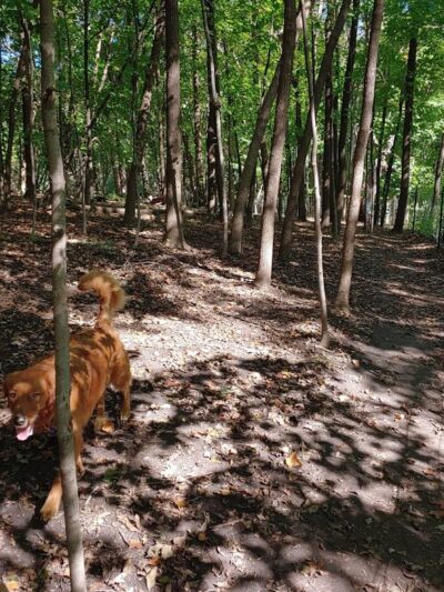 Susan E. Lurton Park - Long Lake, MN