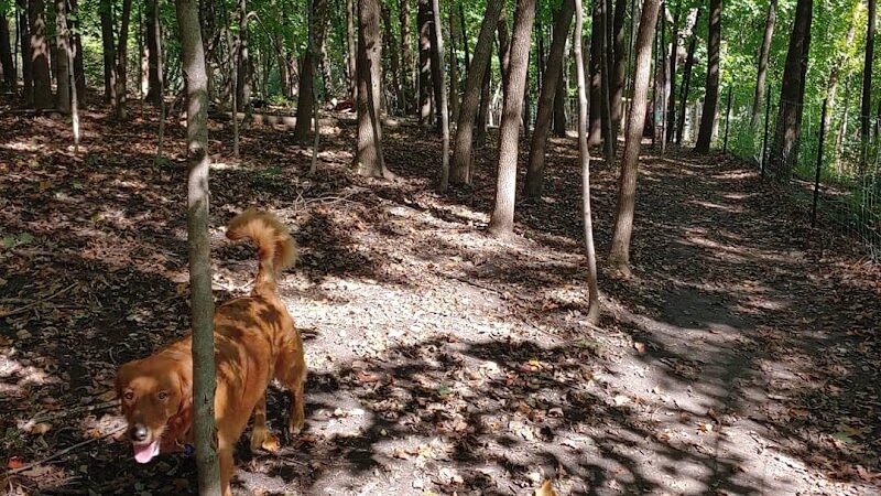 Susan E. Lurton Park - Long Lake, MN