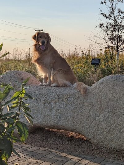 Susan E. Lurton Park - Long Lake, MN