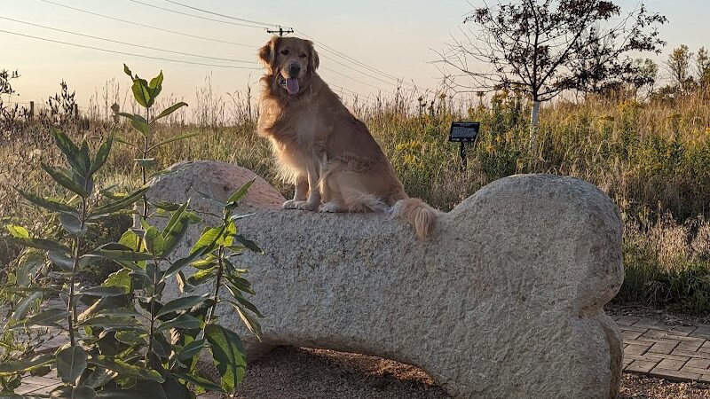 Susan E. Lurton Park - Long Lake, MN