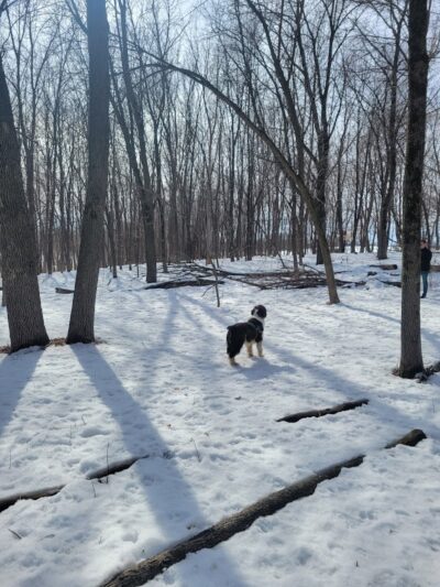 Susan E. Lurton Park - Long Lake, MN