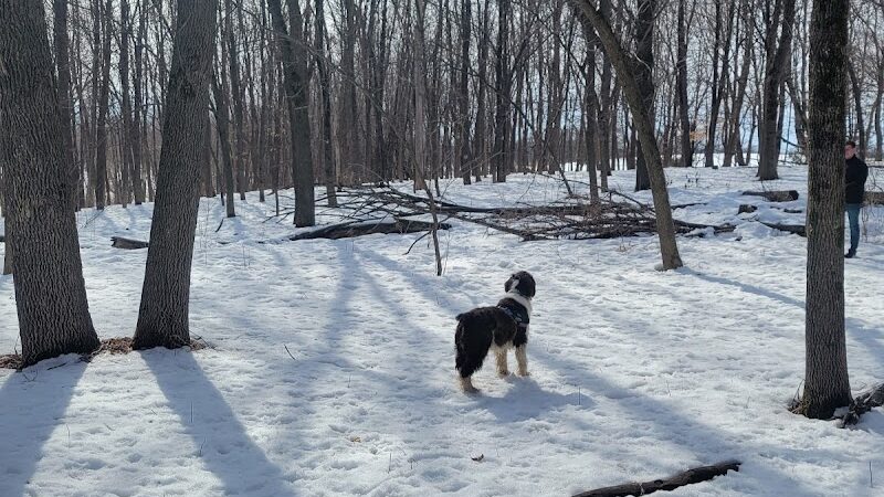 Susan E. Lurton Park - Long Lake, MN