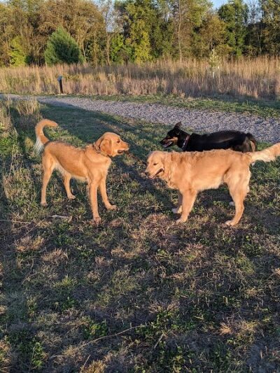 Susan E. Lurton Park - Long Lake, MN
