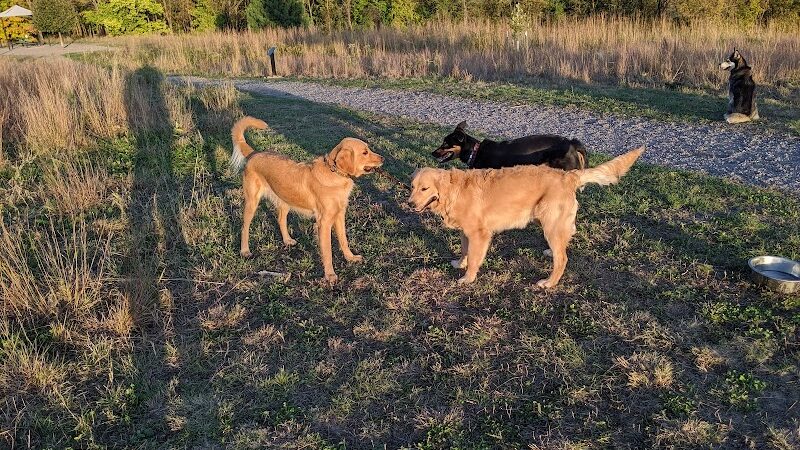 Susan E. Lurton Park - Long Lake, MN