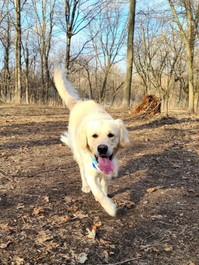 Susan E. Lurton Park - Long Lake, MN