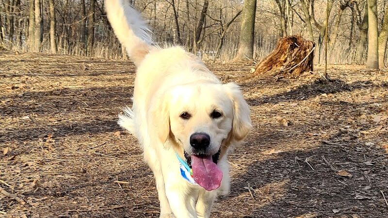Susan E. Lurton Park - Long Lake, MN