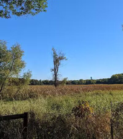 Susan E. Lurton Park - Long Lake, MN