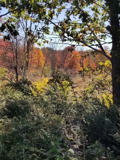Rock Spring Park - Long Valley, NJ