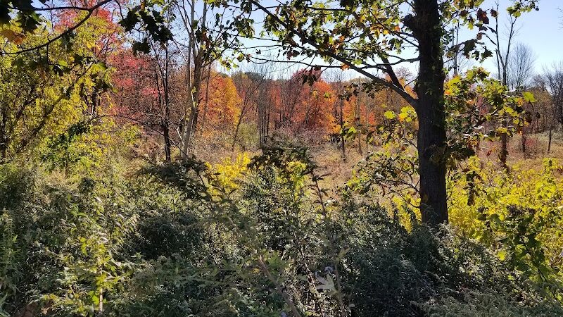 Rock Spring Park - Long Valley, NJ