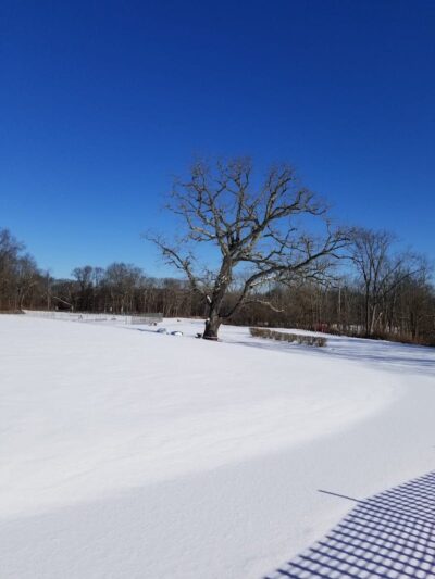 Rock Spring Park - Long Valley, NJ