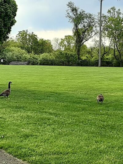 Rock Spring Park - Long Valley, NJ