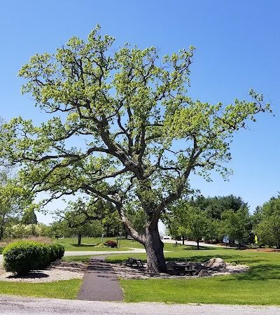 Rock Spring Park - Long Valley, NJ