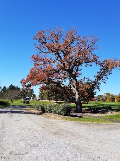 Rock Spring Park - Long Valley, NJ
