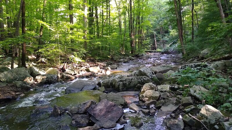 The Lodge at Schooleys Mountain County Park - Long Valley, NJ