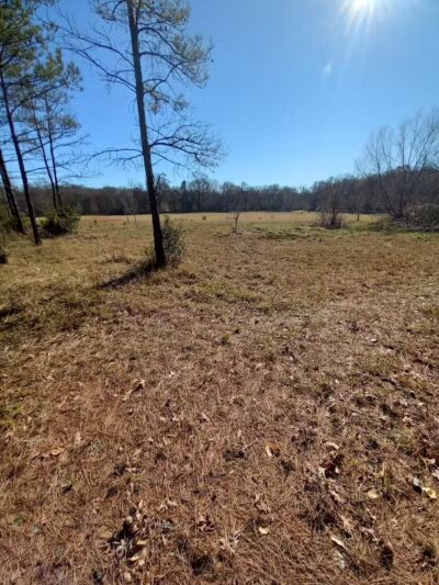 Stragent Dog Park (On Paul Boorman Trail) - Longview, TX