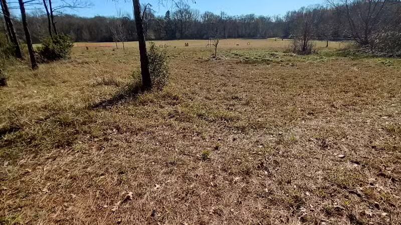 Stragent Dog Park (On Paul Boorman Trail) - Longview, TX