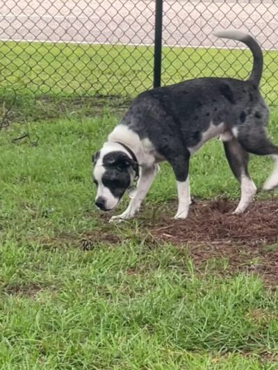 Loris Nature Park - Loris, SC