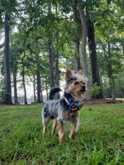 Loris Nature Park - Loris, SC