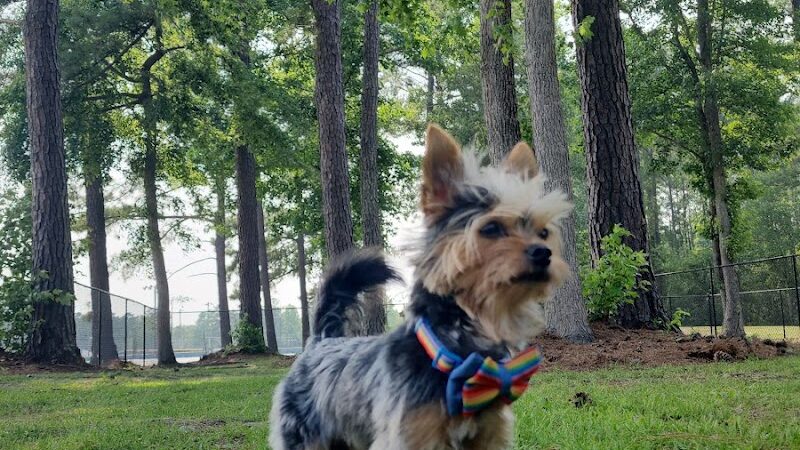 Loris Nature Park - Loris, SC