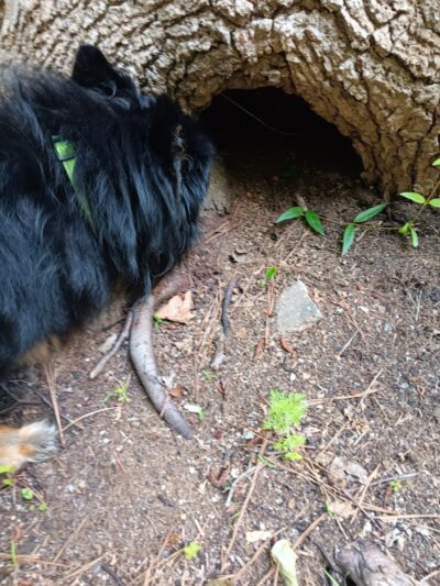 Loris Nature Park - Loris, SC