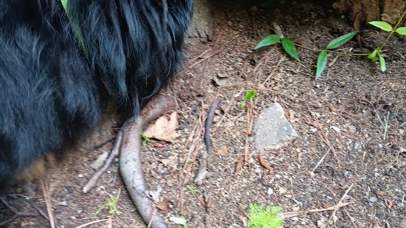 Loris Nature Park - Loris, SC