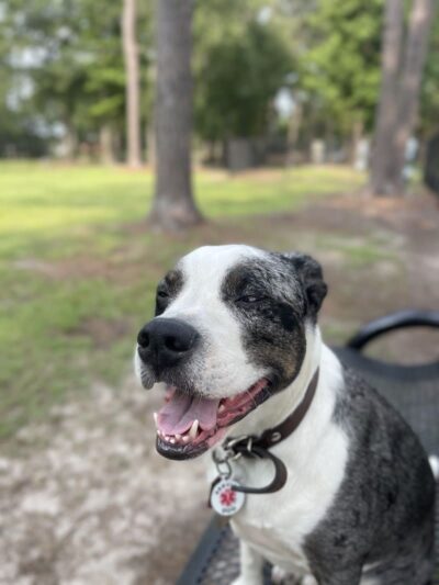 Loris Nature Park - Loris, SC