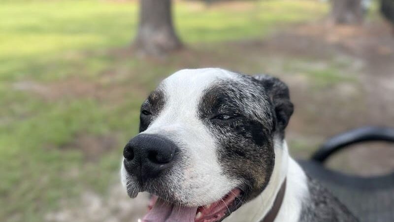 Loris Nature Park - Loris, SC