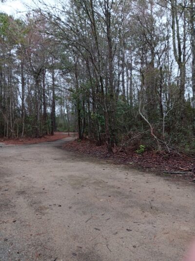 Loris Nature Park - Loris, SC