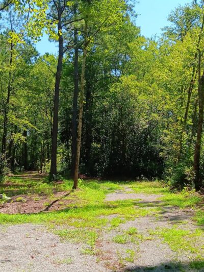 Loris Nature Park - Loris, SC