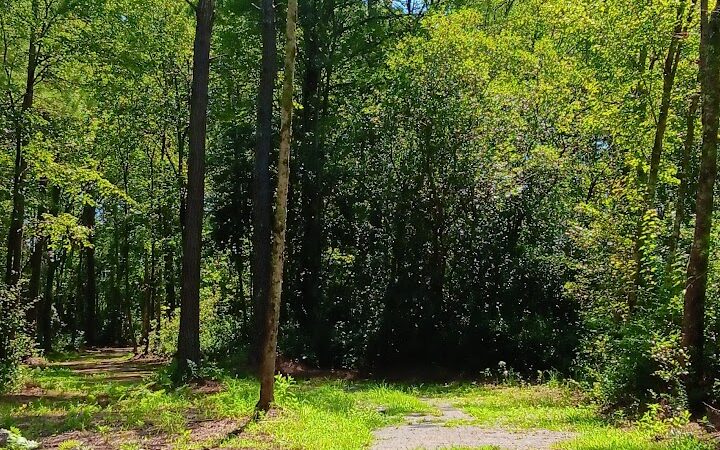 Loris Nature Park - Loris, SC