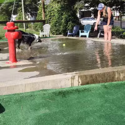 Club K9 Dog Park Bar - Louisville, KY