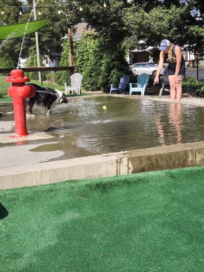 Club K9 Dog Park Bar - Louisville, KY