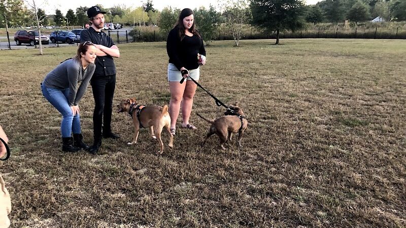 Barklands - Louisville, KY