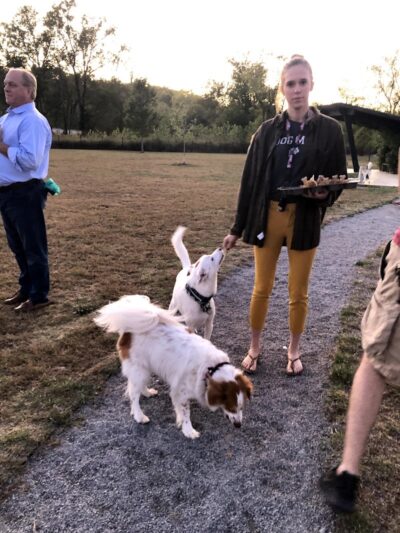 Barklands - Louisville, KY