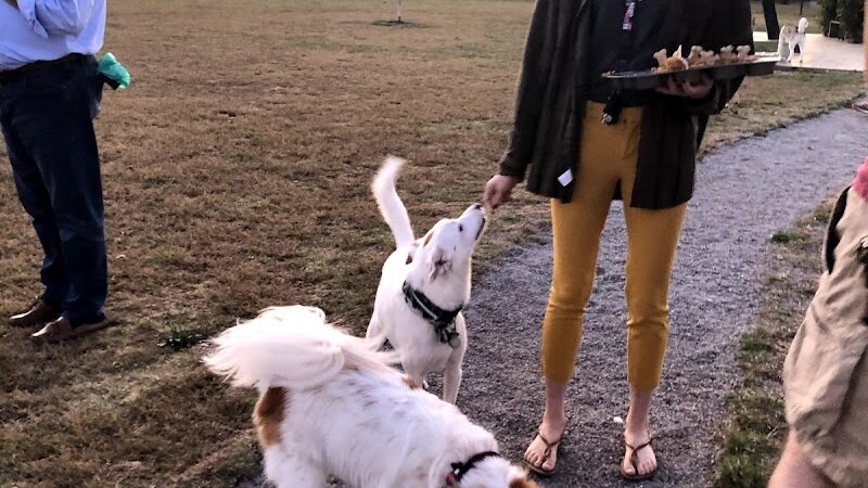 Barklands - Louisville, KY