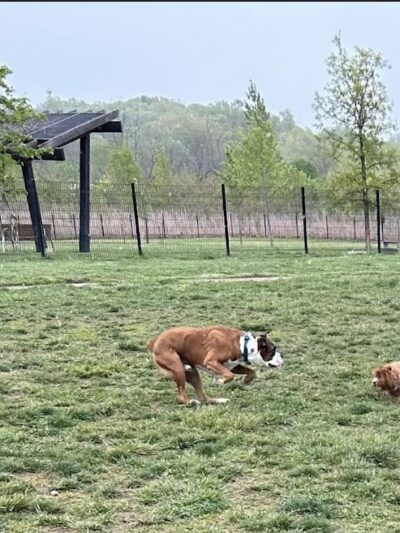 Barklands - Louisville, KY