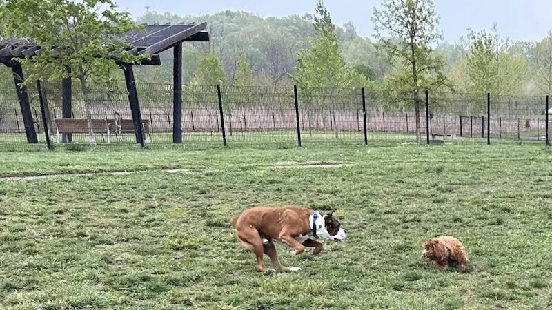 Barklands - Louisville, KY