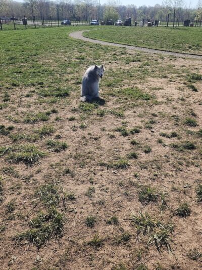 Barklands - Louisville, KY