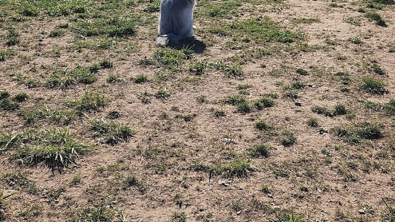 Barklands - Louisville, KY