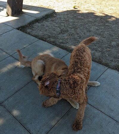 Barklands - Louisville, KY