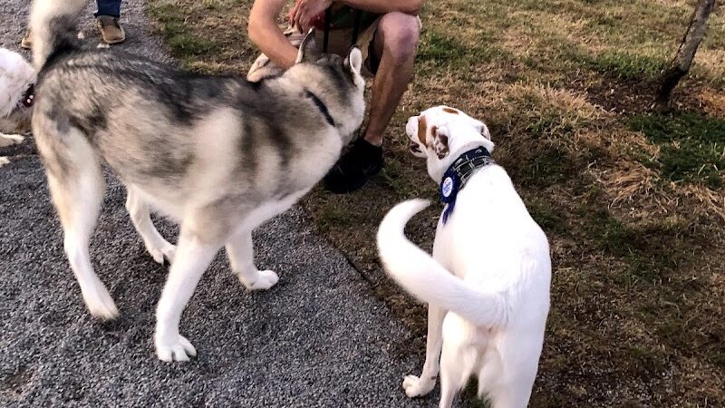 Barklands - Louisville, KY