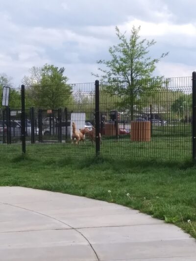 Barklands - Louisville, KY