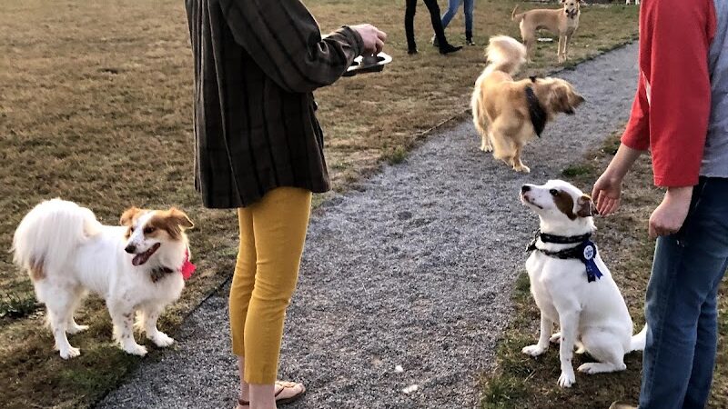 Barklands - Louisville, KY